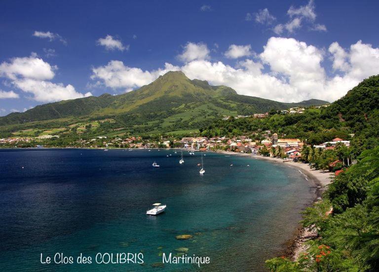 Lodge Colibris Piscine Privee Vue Panoramique Mer Et Montagne Pelee , 500 M Plage Dans Un Parc , Calme Assure Ideal Pour Decouvrir Le Nord Caraibes Ле-Карбе Экстерьер фото